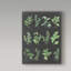 " Herb Chart On Black " by Chris Paschke-31872386