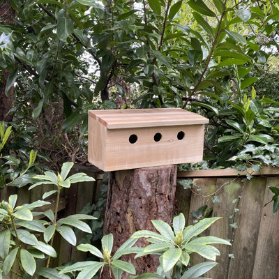 Sparrow Colony Terrace Wooden Mounted Bird House