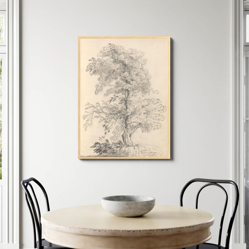 «Tree Sketch» par Wild Apple, Papier avec cadre photo en érable, Non, H 40 po x l 30 po