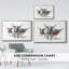Longhorns modernes I-92473534-92473533