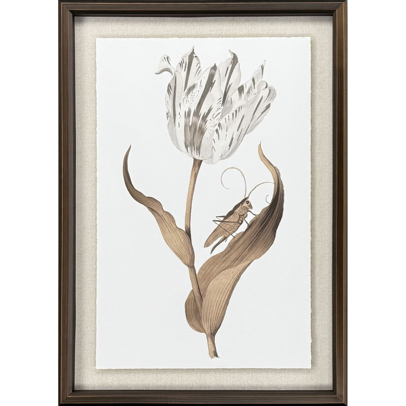 Gilded Tulip - Elegance Print by Marrel Paragon