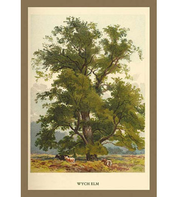 « wych pucs » par w.h.j. boot, impression sur image