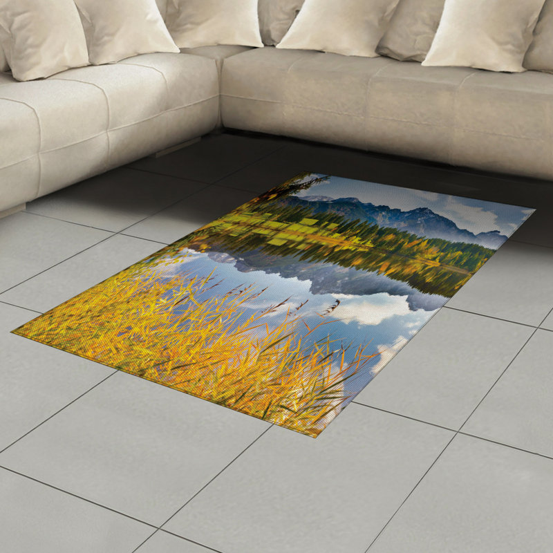 Nature High Density Long Fiber Poly Threads Decorative Area Rug Carpet, Rectangle 4' x 5'8"
