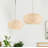 Braelynn 1 - Light Single Pendant