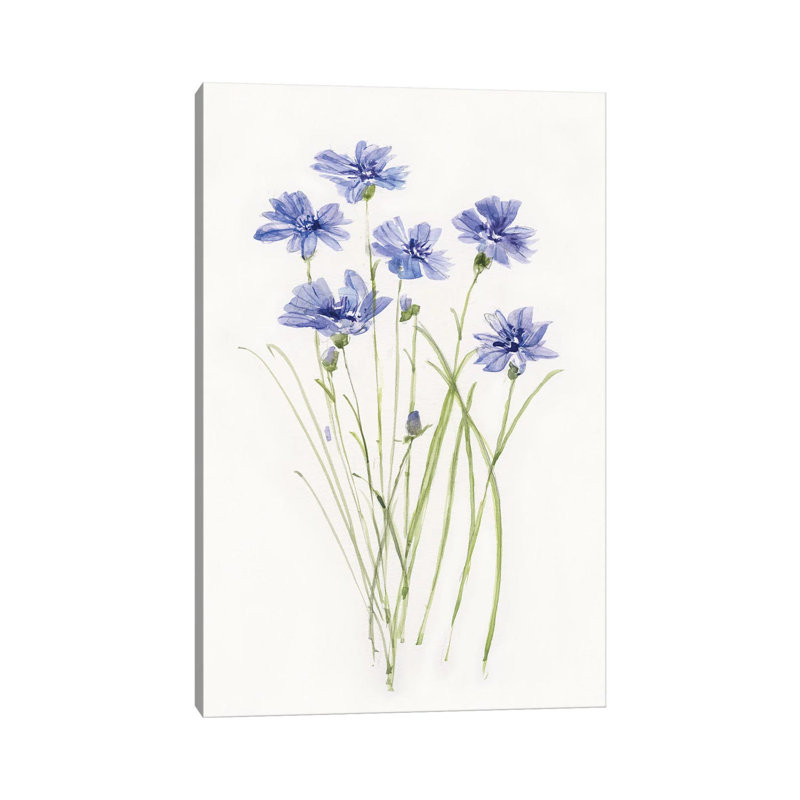 Dainty Botanical Cornflower by Sally Swatland - Wrapped Canvas Gallery-Wrapped Canvas Giclée, 101.6cm H x 66.04cm W
