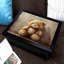 Breakfast Tray