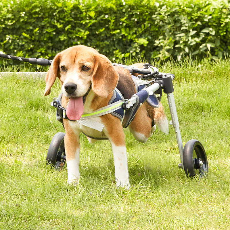 Foldable Pet Jogger Stroller, 7.48" H x 10" W x 6.29" D