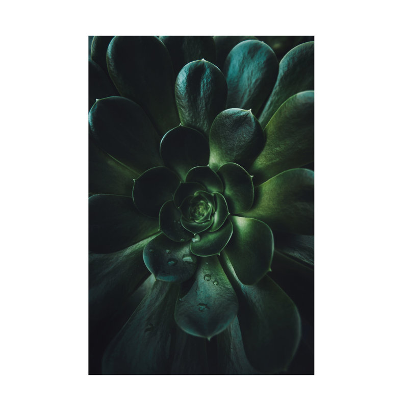 Art sur toile Tim Moss Titan, H 19 po x l 12 po x P 2 po