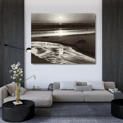 Oiseaux sur une plage