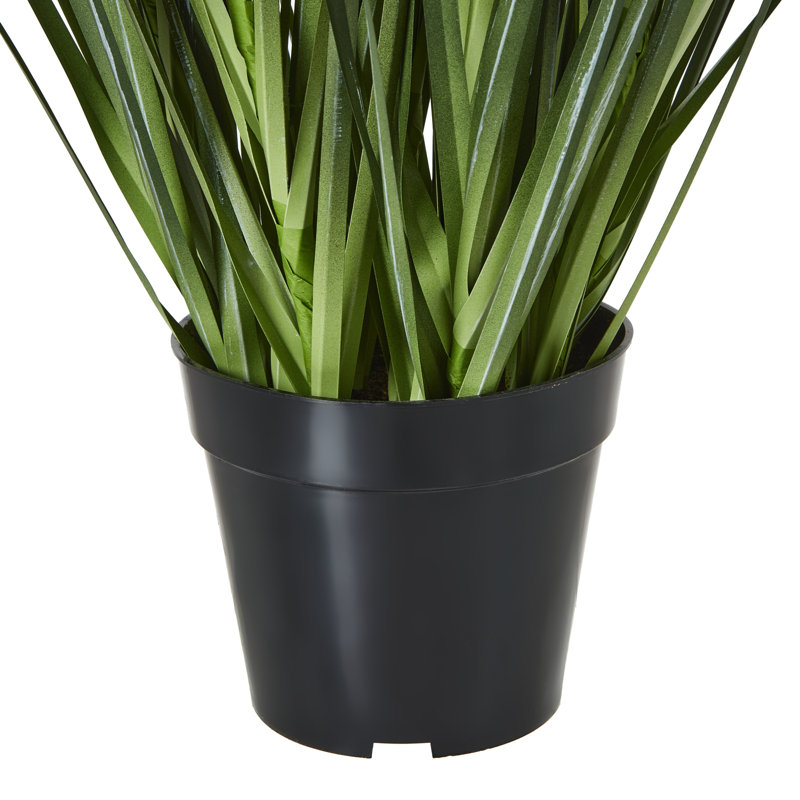 Andaiye 120cm Plant in Pot, White