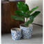 S/2 Blue And White Ceramic Planters With Floral Motif