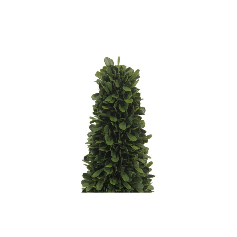 24" Artificial Boxwood Plant in Tapered Pot
