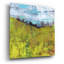 «Summer Sky» par Linda Nickell-1729606569