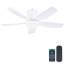 Ventilateur de plafond encastré 41 po à 5 pales avec lumière et télécommande / application-1239528101-1198543828