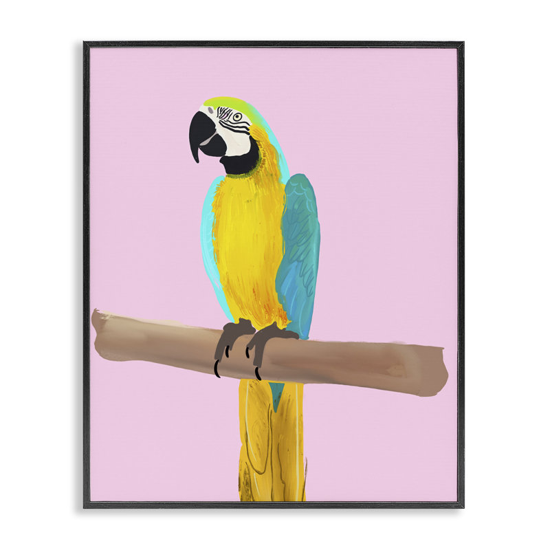 «Bright perroquet sur rose noir», estampe numérique par Ashley Singleton, Giclée encadrée noir minuit, H 20 po x l 16 po