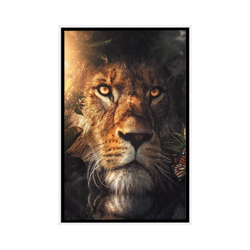 Lion Hiding by Zenja Gammer - Print on Canvas, White Framed, 66.04 cm H x 45.72 cm W