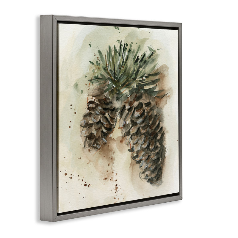 «Pine Cone Watercolor» par Ethan Harper, H 25 po x l 25 po, Cadre flottant gris lustré