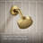 Pitch Rite-Temp Shower Trim Kit With Push-Button Diverter 2.5 Gpm-98709220
