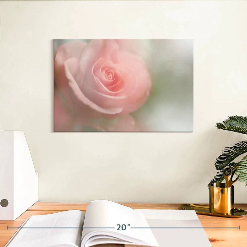 Harnek Soft Rose I