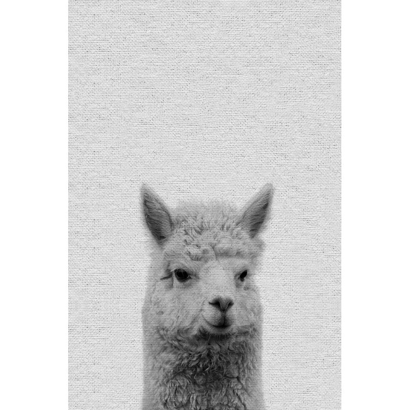 Llama Surprise II - Drawing on Canvas, 30cm H x 20cm W