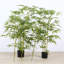 Bambou artificiel, arbres artificiels en pot avec tronc réaliste et feuilles de soie, plantes de bambou artificielles-1856289484