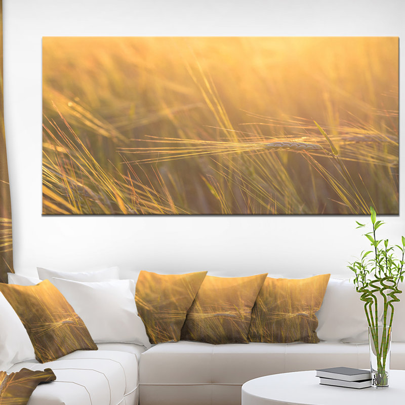 «Wheat Field Close-up at Sunset», reproduction de photo sur toile tendue, H 8 po x l 12 po