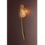 SEYCHELLES 2 Light Wall Sconce by Corbett Lighting-16167907