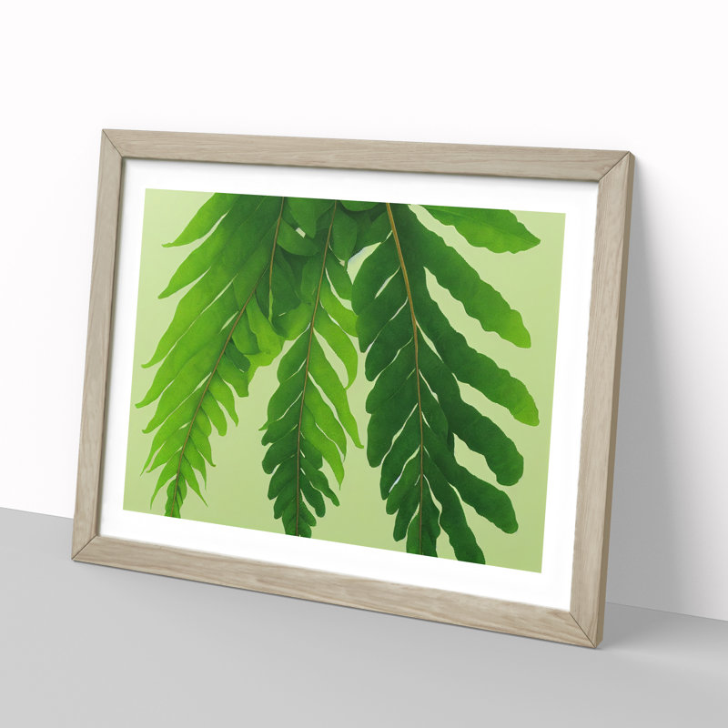 Unusual Fern Leaf - Framed Print, 34cm H x 46cm W x 2cm D, Oak