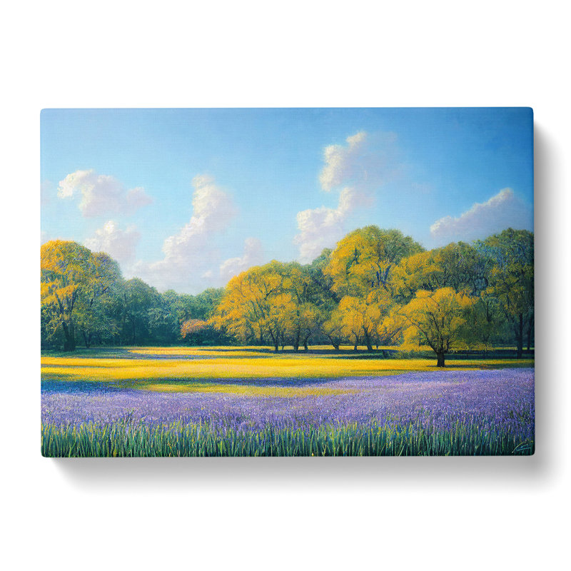 Alluring Bluebell Field - Wrapped Canvas, 50cm H x 76cm W x 3cm D