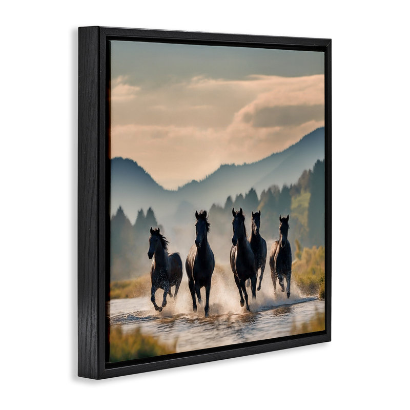 «Canyon Stallions Trotting» par Noah Bay, Cadre flottant noir de jais, H 25 po x l 25 po