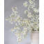 Dancing Oncidium Orchid 46.5"