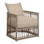 Newport Arm Chair with Cushions-63361294-84544964-93646466