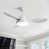 White is unavailable