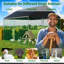 Snellville Chicken Run-387144580