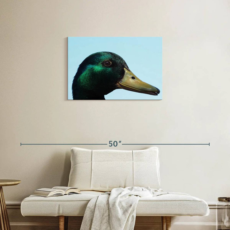 Mallard Duck Close Up, 20" H x 30" W
