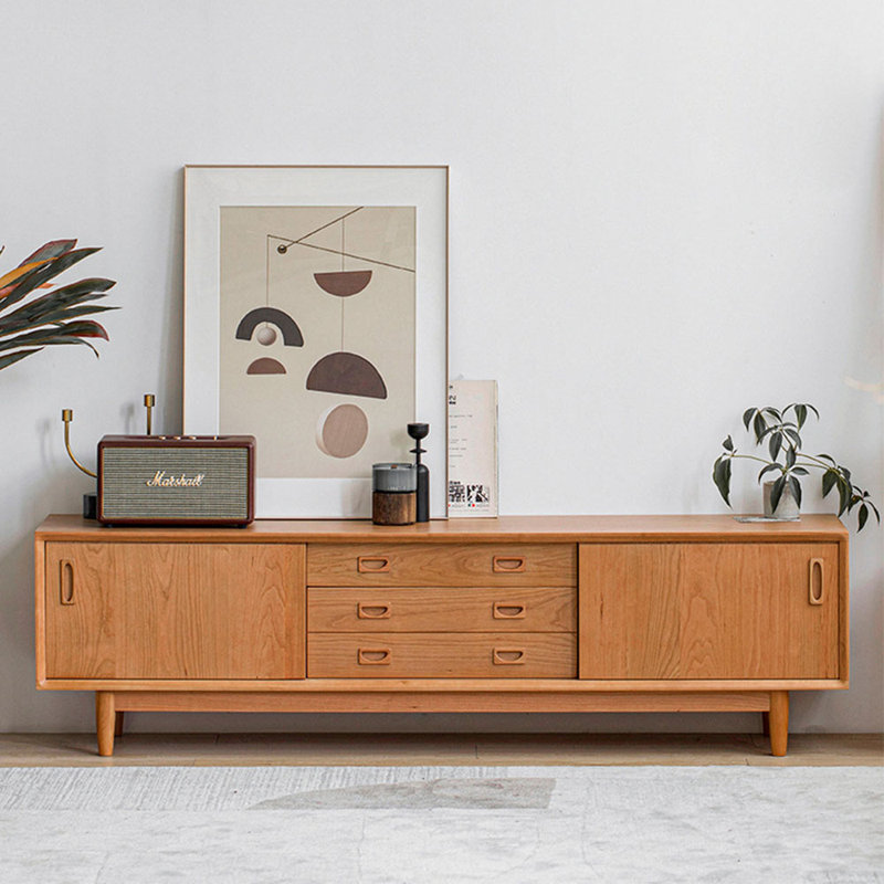 Armoire audio-visuelle multifonctionnelle à tiroir de télévision