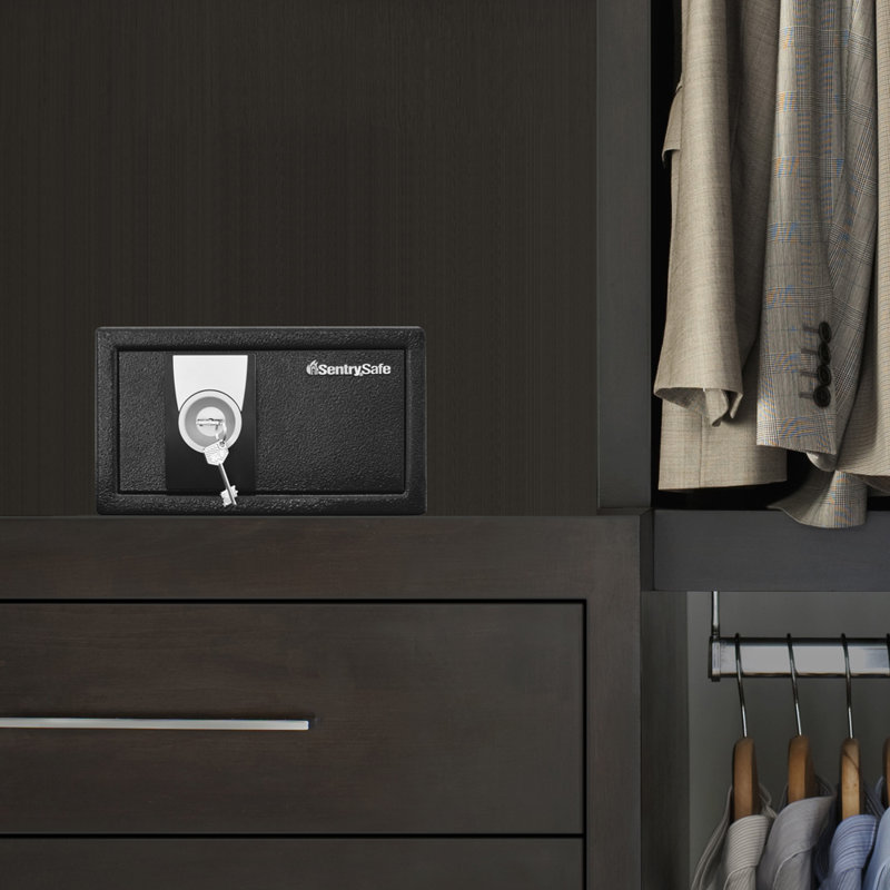 SentrySafe 0.35 Cu. Ft. Security Safe with Key Lock