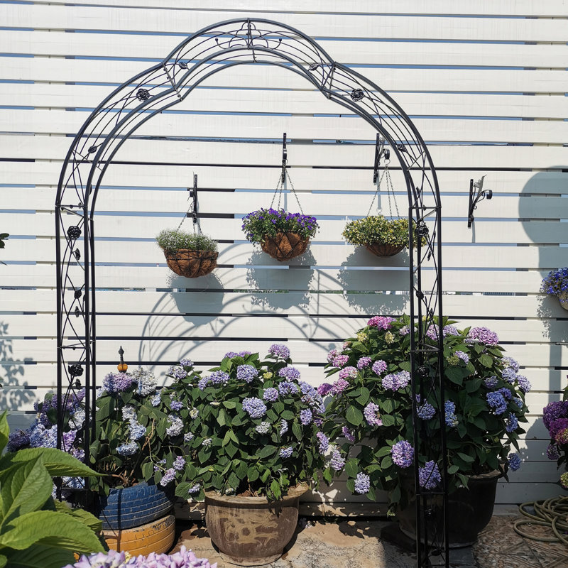 Elier 98.4'' H x 59'' W Iron Arched Trellis, Black