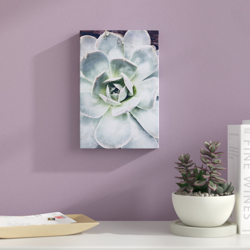 Pastel Succulent Beauty IV by Irena Orlov - Photograph Print, 30cm H x 20cm W, Wrapped Canvas