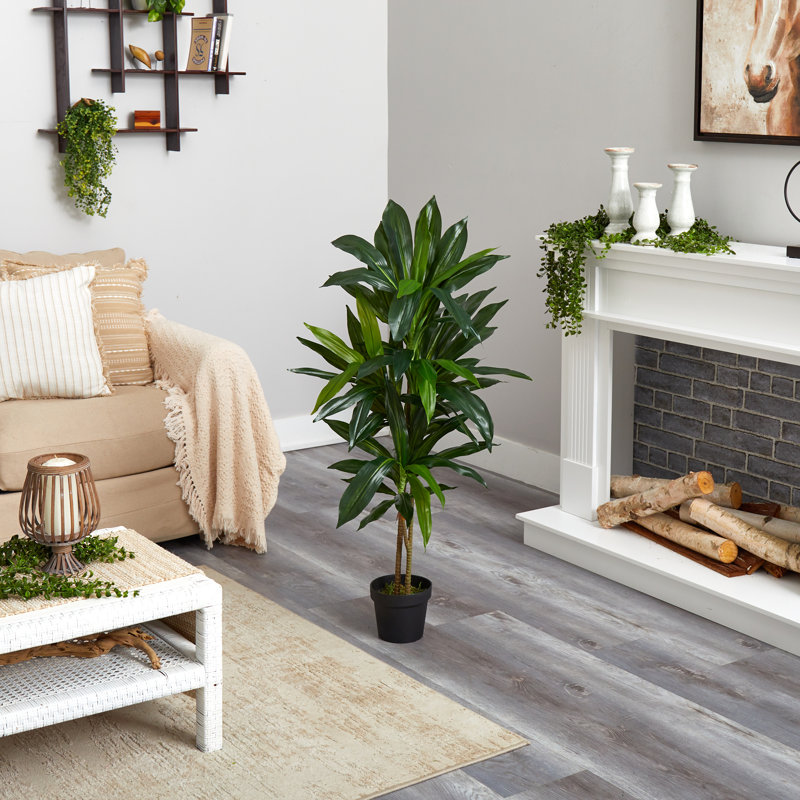 Larson 48'' Faux Dracaena Plant in Planter