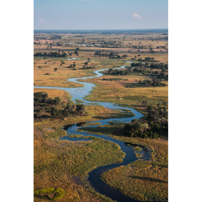 Okavango Delta 1 Piece Wrapped Canvas Wall Art, 76cm H x 51cm W x 3.8cm D