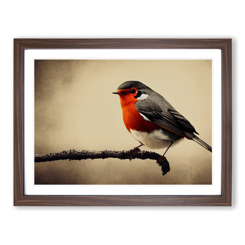 Beautiful Robin Bird - Single Picture Frame Print, Walnut Frame, 46cm H x 64cm W x 2cm D