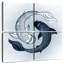 Yin Yang Fish-109033754