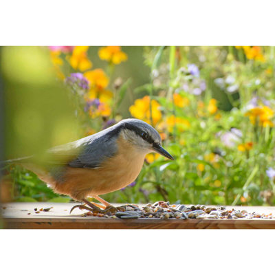Vogelfutter