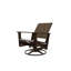Wexler Outdoor Swivel Lounge Chair-1099678808-1102391102
