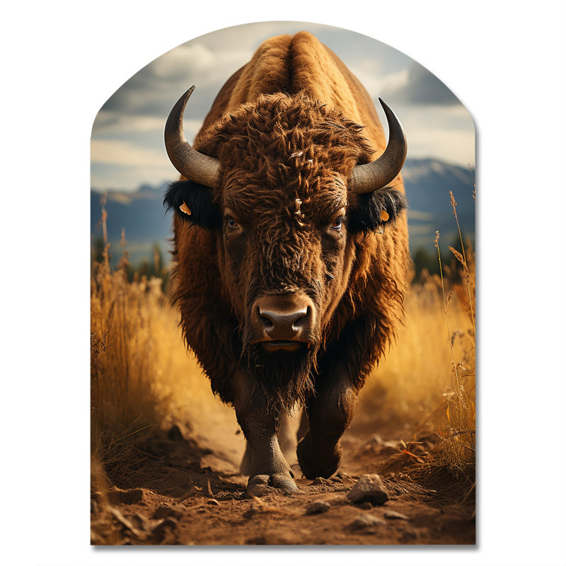 Eneas - Arch Bison, impression murale de sculpture en métal asymétrique, H 34 po x l 25 po