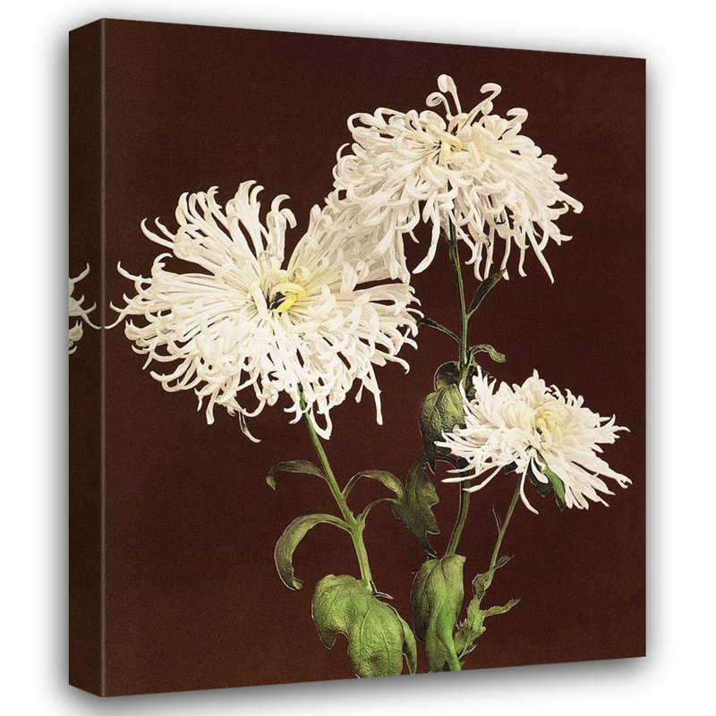 «Lark Manor ™ Kazumasa», art de la galerie Ogawa, titre: Chrysanthemum 64383, H 18 po x l 15 po