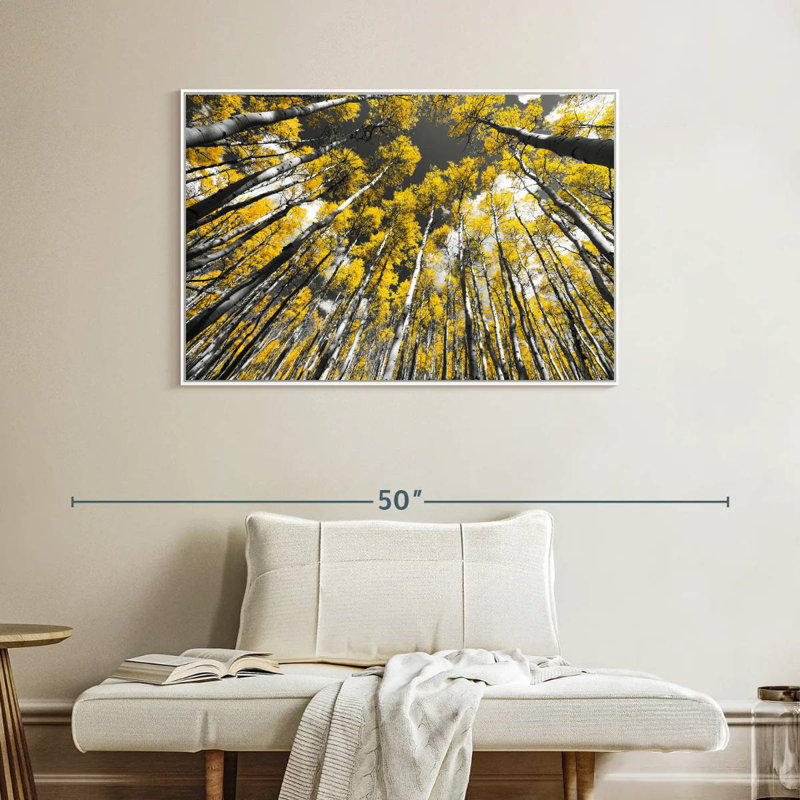 Trembles du Colorado, Cadre flottant blanc, 40 po x 27 po