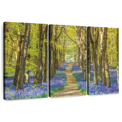 Bluebells de la forêt Harnek