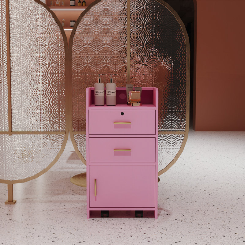 Armoire de rangement verrouillable pour salon de beauté avec support et tiroirs pour sèche-cheveux